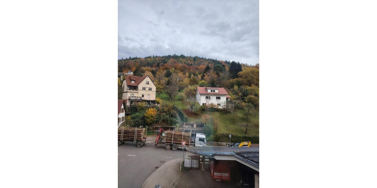 Mehrfamilienhaus, Wohnhaus Heidelberg Peterstal - 10 Zimmer, 200 m&sup2;, 595.000&euro; | Angebot:24756171