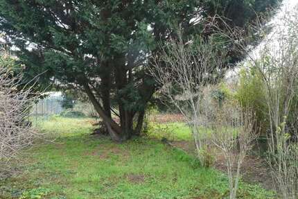 Grundstück zu verkaufen in Mutterstadt 250.000 € 720 m² zimmer