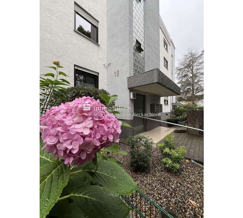 Wohnung zum Kaufen in Brühl 259.000 € 114 m²