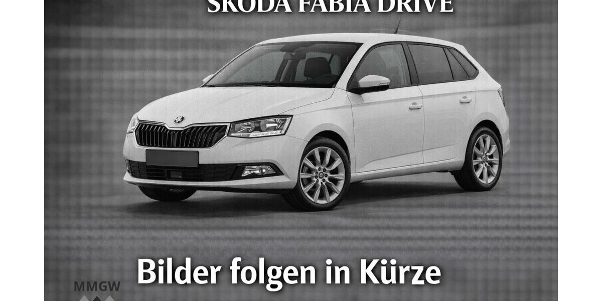 Skoda Fabia 69.869 km 9.990 &euro; Bensheim 64625