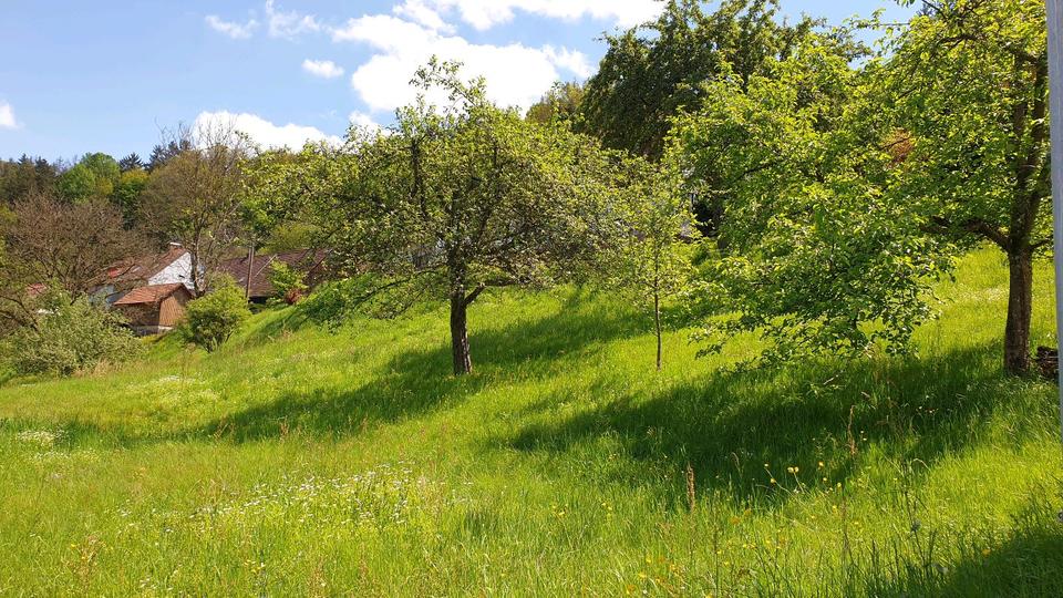 Einfamilienhaus Heidelberg Boxberg - 8 Zimmer, 183 m&sup2;, 215.000&euro; | Angebot:25883802