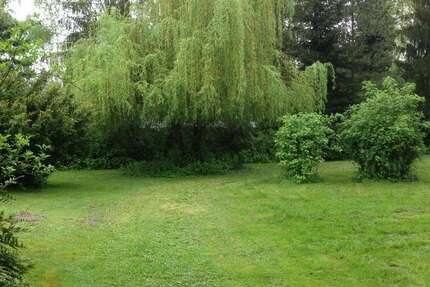 Grundstück zu verkaufen in Haßloch 900.000 € 3000 m² zimmer