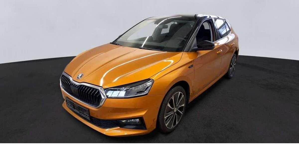 Skoda Fabia 49.500 km 18.690 &euro; Heidelberg 69123