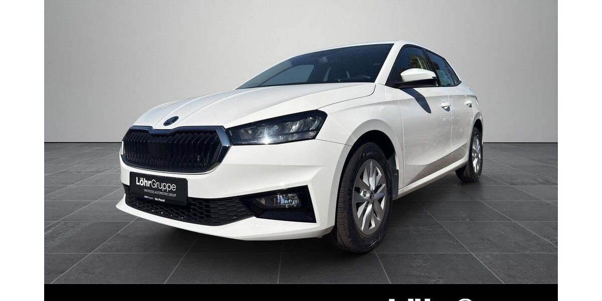 Skoda Fabia 61.350 km 13.750 &euro; Worms 67547