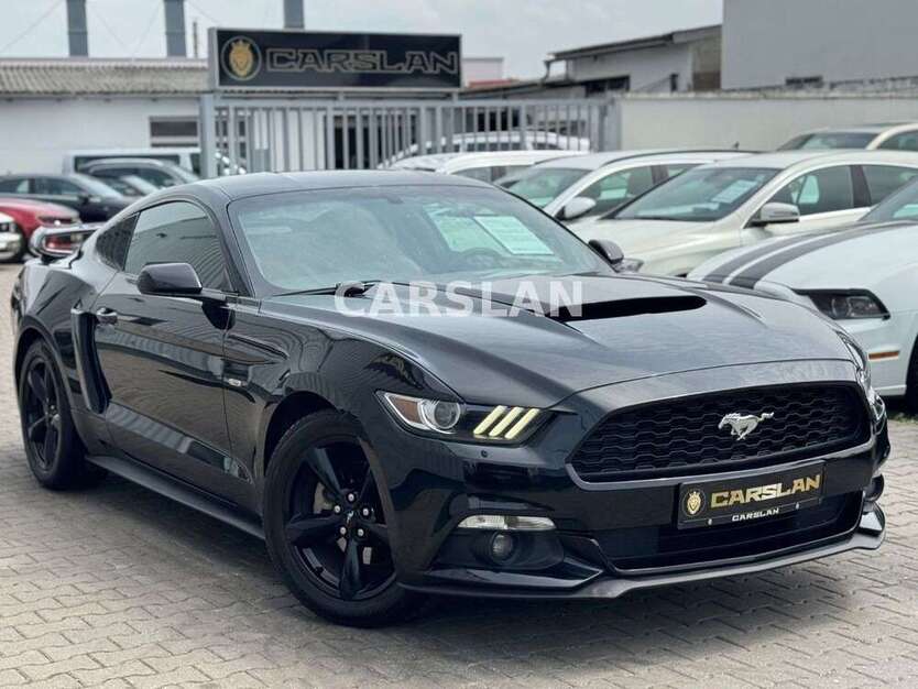Mustang