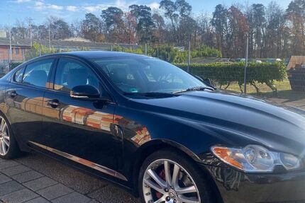 Jaguar XF 168.000 km 7.990 € Reilingen 68799