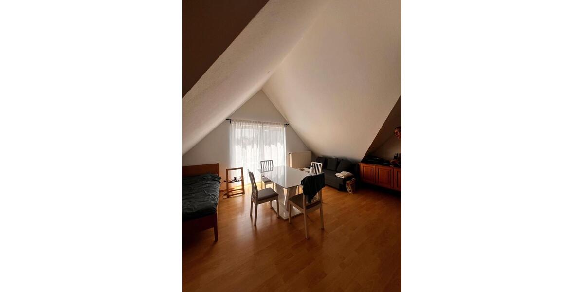 Schöne 1-Zimmer-Wohnung mit TG-Stellplatz in Worms-Wiesoppenheim 1 zimmer