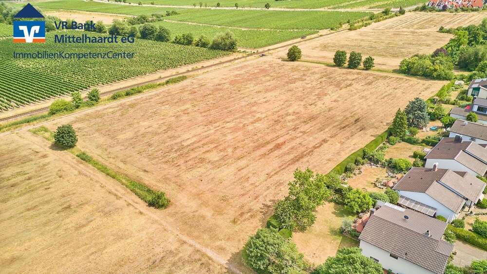 Grundstück zu verkaufen in Wachenheim 311.850 € 450 m² zimmer