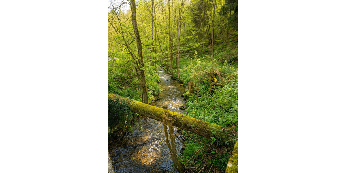 Gewerbeobjekt Wald-Michelbach Michelbach - 2.400&euro; | Angebot:25274780