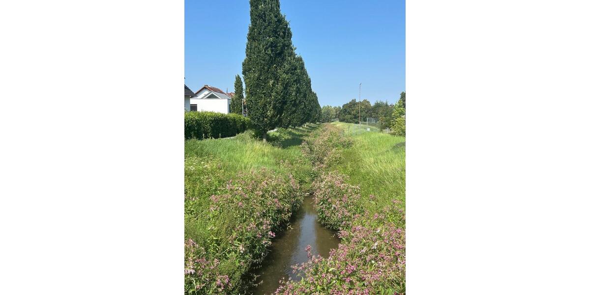 Helle 3-Zimmer-Wohnung in ruhiger Lage 'Kappesgärten' 3 zimmer