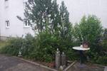 Bungalow Lampertheim - 4 Zimmer, 75 m&sup2;, 499.000&euro; | Angebot:26803009