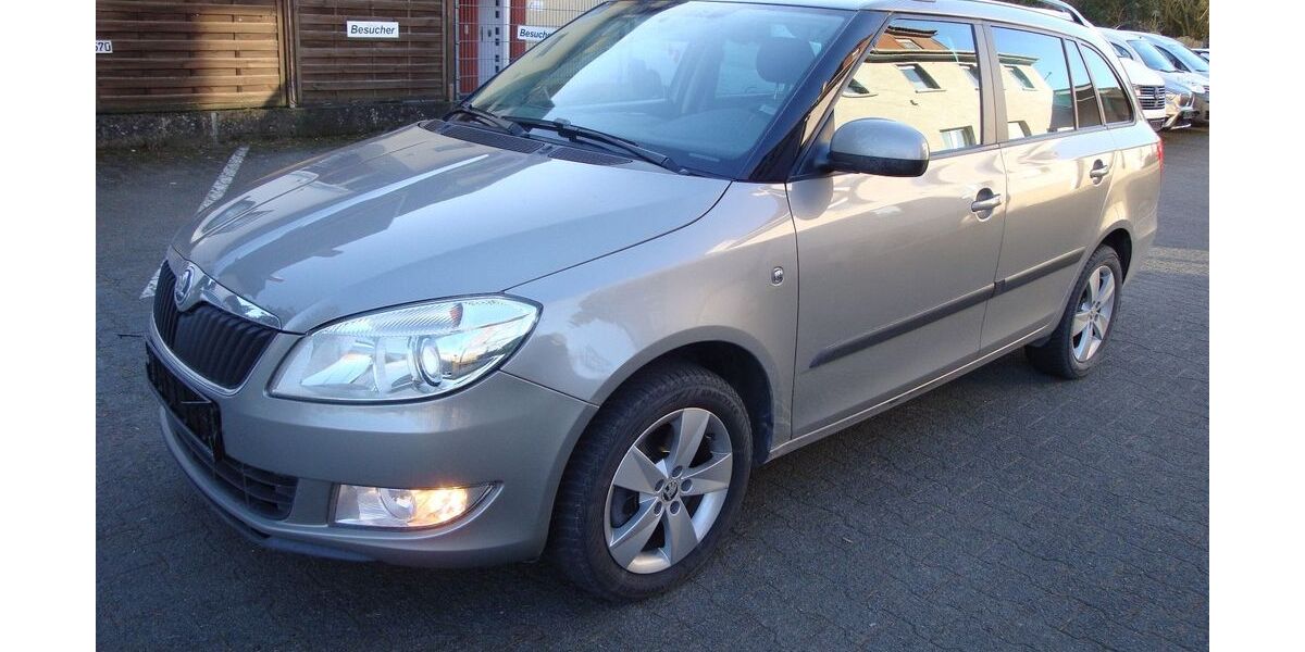 Skoda Fabia 59.800 km 8.500 &euro; Lorsch 64653