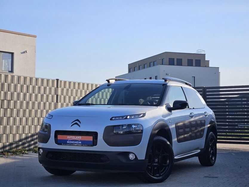 C4 Cactus