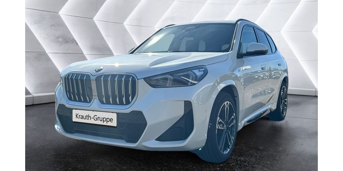 BMW X1 25.100 km 44.500 &euro; Hockenheim 68766