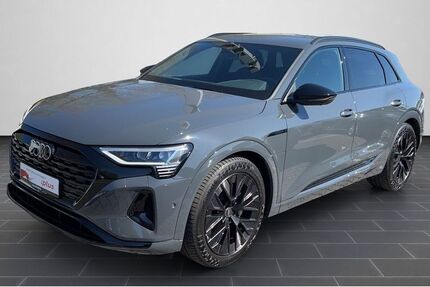 Audi Q8 e-tron 32.457 km 51.900 &euro; Ludwigshafen 67063