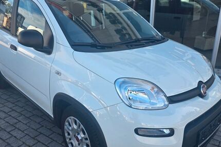 Fiat Panda 18.910 km 10.900 &euro; Heddesheim 68542