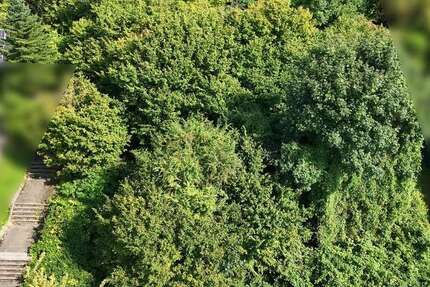 Grundstück zu verkaufen in Leimen 990.000 € 1202 m² zimmer