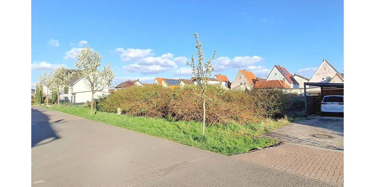 Grundstück Schifferstadt - 320.000&euro; | Angebot:25879566