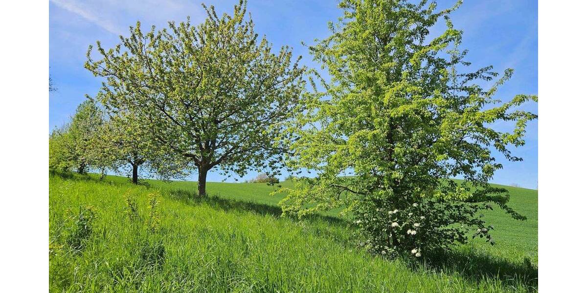 Reihenendhaus Wiesloch Schatthausen - 5 Zimmer, 146 m&sup2;, 390.000&euro; | Angebot:26555461