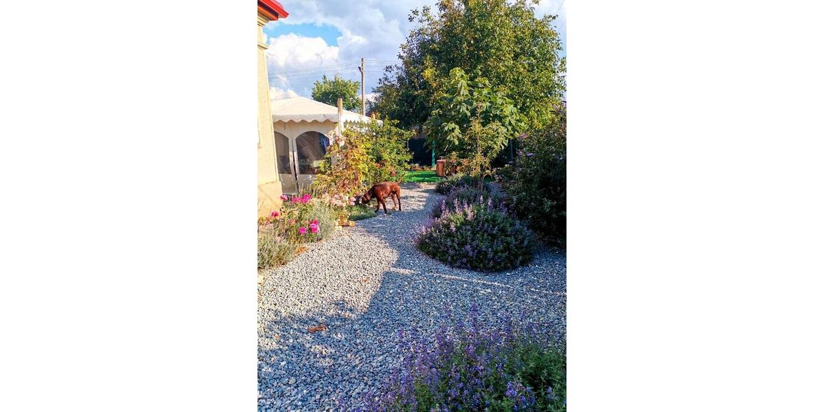 Einfamilienhaus Waghäusel - 89.500&euro; | Angebot:26777201