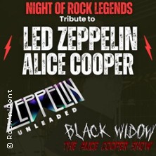 The Night of Rock Legends 07.03.2026 Stadthalle Weinheim