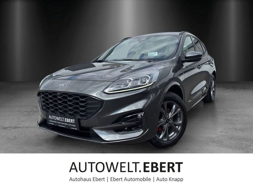 Kuga