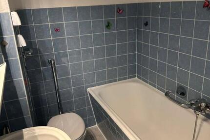 Wohnung Mannheim Rheinau - 1 Zimmer, 14 m&sup2;, 450&euro; | Angebot:27536017