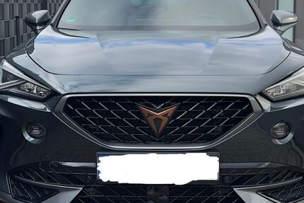 Cupra Formentor 17.016 km 27.999 &euro; Worms 67547