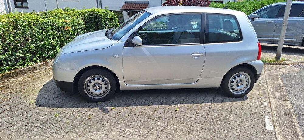 Lupo