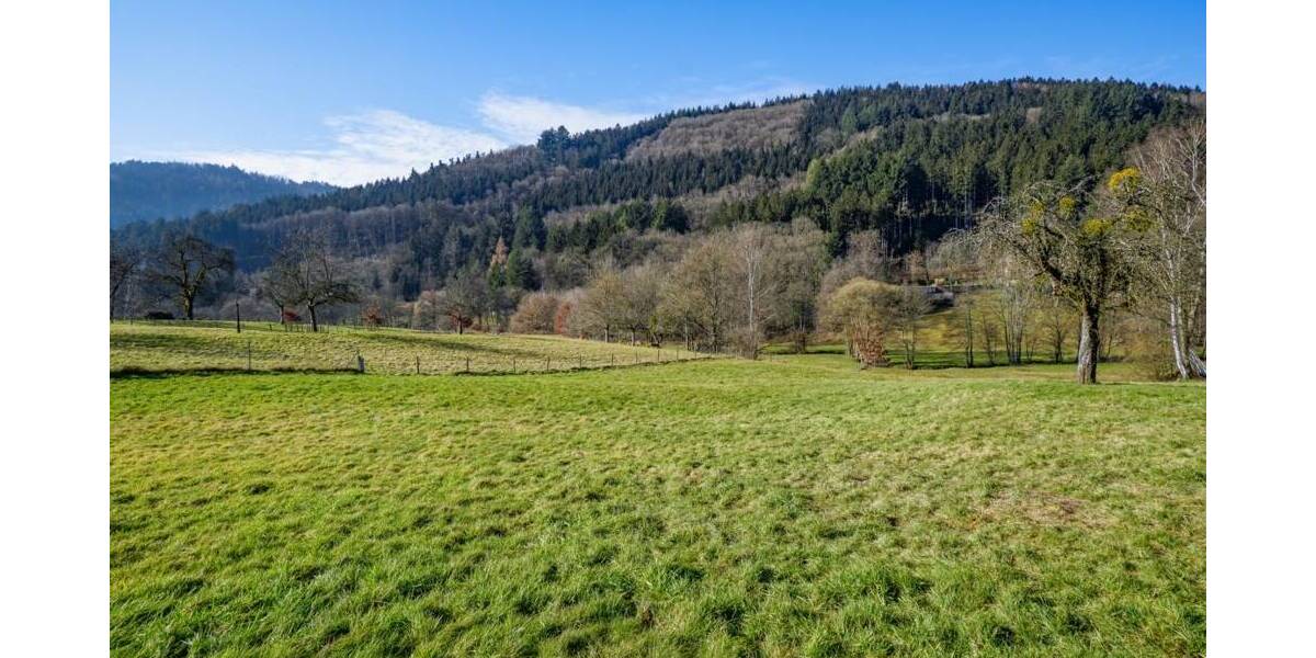 Gewerbeobjekt Wald-Michelbach / Unter-Schönmattenwag Unter-Schönmattenwag - 250.000&euro; | Angebot:25660930