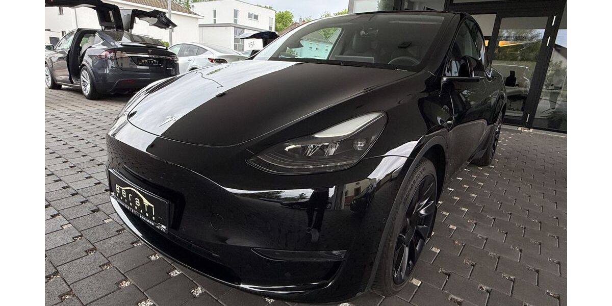 Tesla Model Y 35.000 km 39.800 &euro; Ludwigshafen 67063