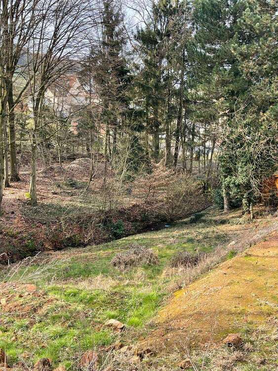 Grundstück zu verkaufen in Birkenau-Löhrbach 325.000 € 1167 m²