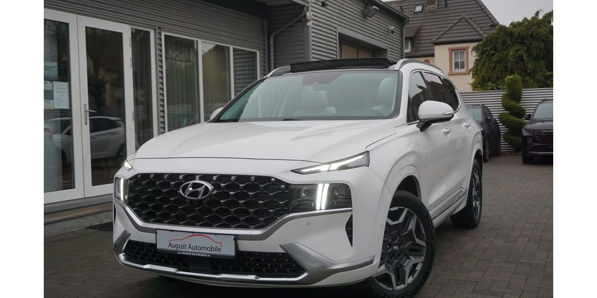 Hyundai SANTA FE 38.000 km 32.899 &euro; Worms 67549