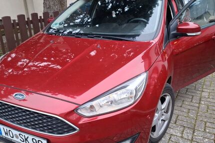 Ford Focus 74.800 km 8.300 &euro; Worms 67549