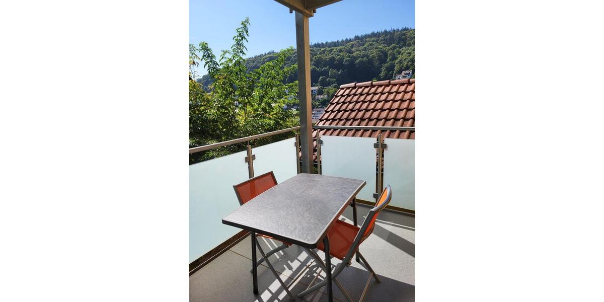 Etagenwohnung Heidelberg Peterstal - 2 Zimmer, 50 m&sup2;, 590&euro; | Angebot:25239747