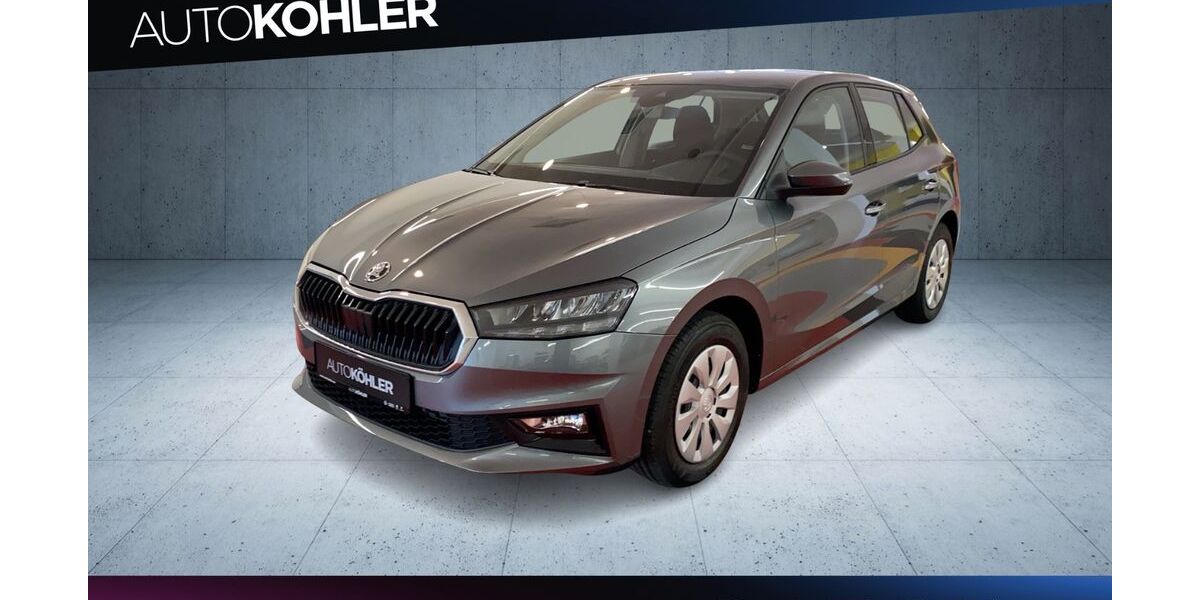 Skoda Fabia 1.017 km 21.900 &euro; Bad Dürkheim 67098