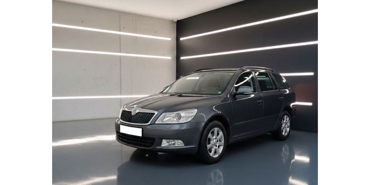 Skoda Octavia 268.000 km 4.990 &euro; Frankenthal 67227