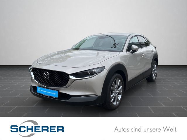 CX-30