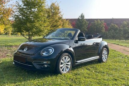 VW Beetle 69.800 km 16.990 € Schriesheim 69198