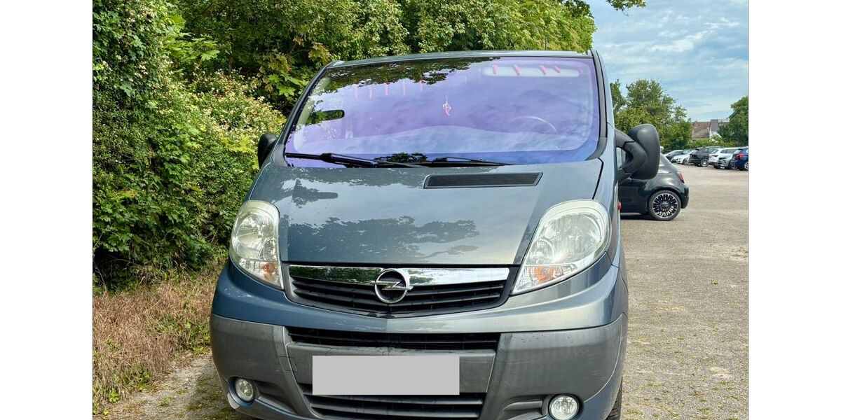 Opel Vivaro 172.000 km 14.000 &euro; Ludwigshafen 67065