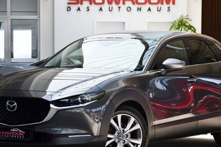 Mazda CX-30 109.890 km 15.300 &euro; Waghäusel 68753