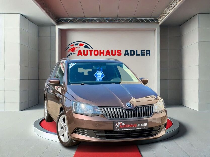 Skoda Fabia 128.800 km 8.490 € Worms 67549