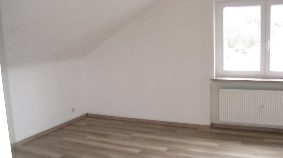 Wohnung 2 Zimmer,Wohnküche,Bad,Balkon in Wald-Michelbach Zentrum 1 zimmer