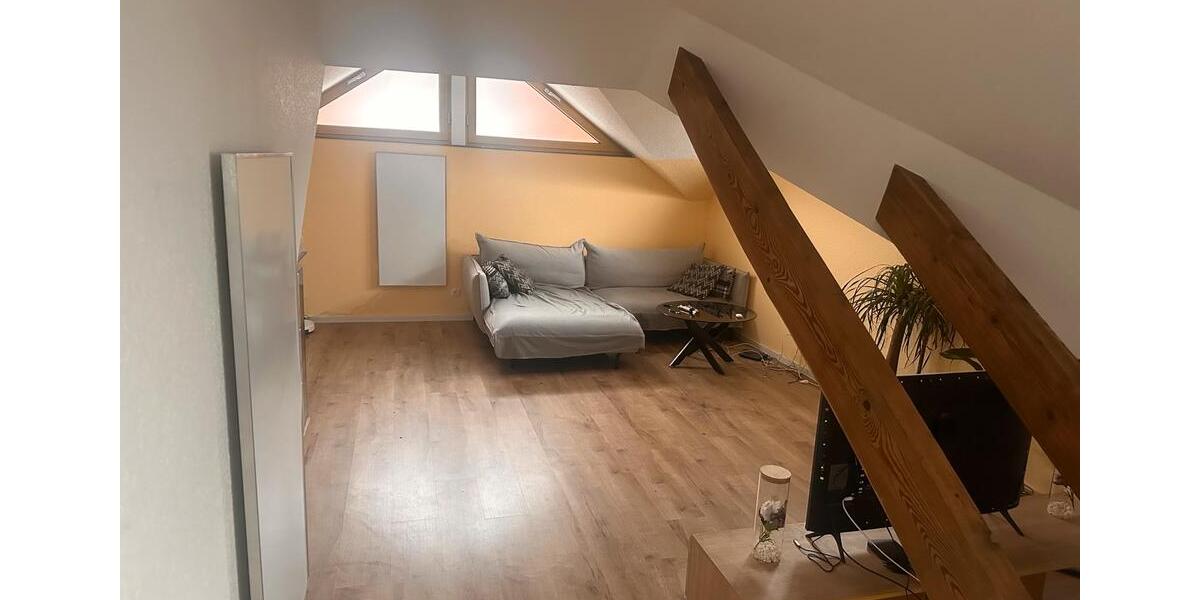 Dachgeschoßwohnung Wiesloch - 1 Zimmer, 65 m&sup2;, 1.150&euro; | Angebot:24870092