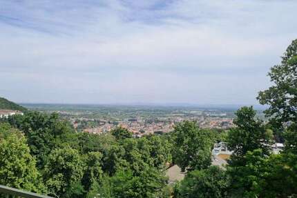 Wohnung Bad Dürkheim / Seebach Seebach - 1 Zimmer, 35 m&sup2;, 500&euro; | Angebot:26072490