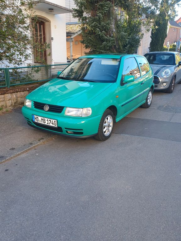 Polo