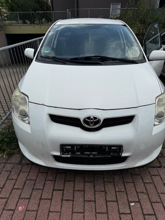 Auris