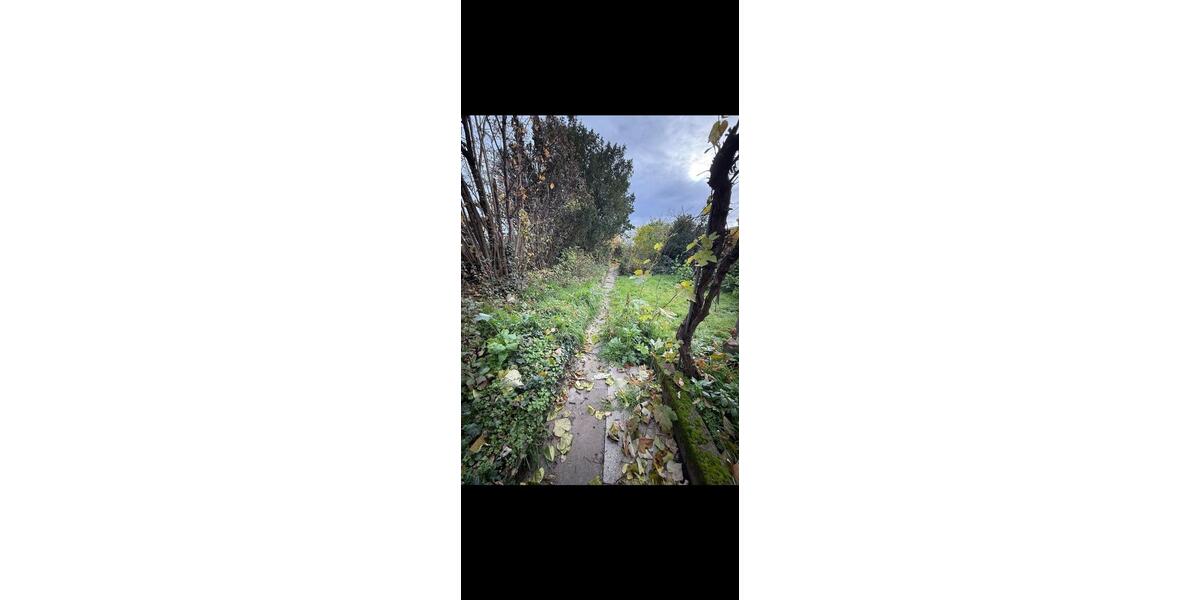 Einfamilienhaus Ludwigshafen am Rhein Mundenheim - 210.000&euro; | Angebot:26122604