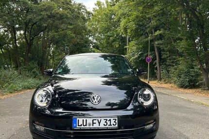 VW Beetle