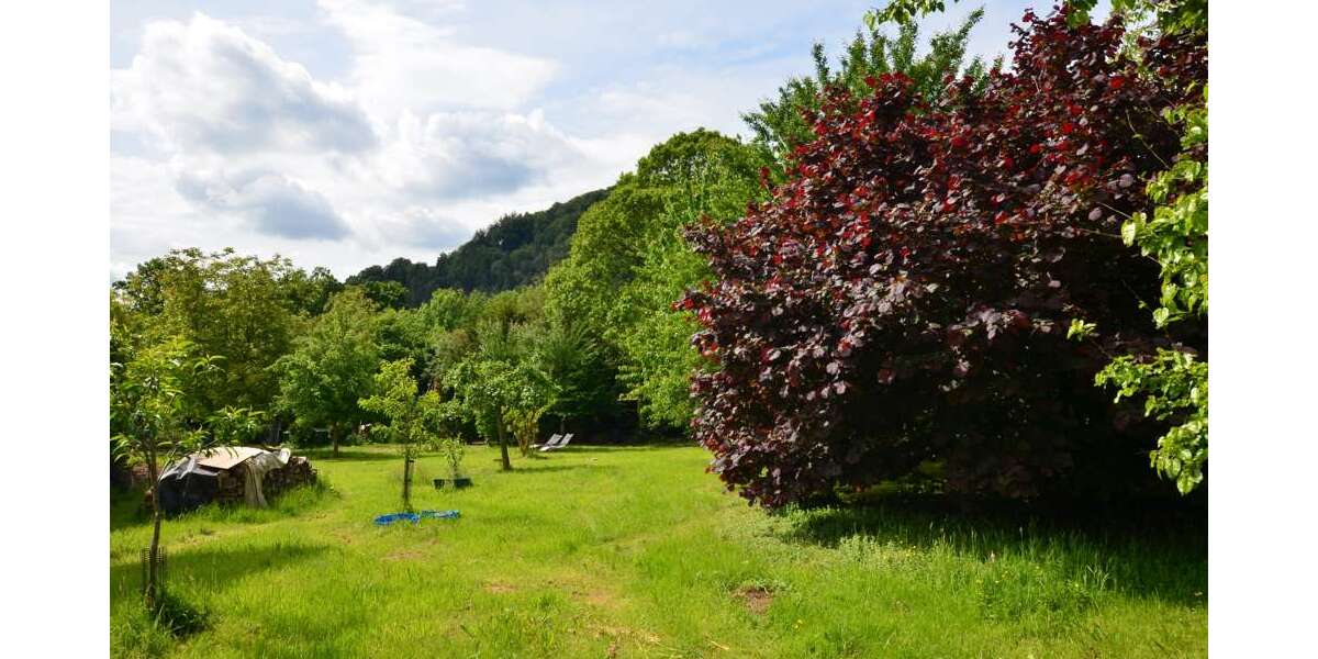 Gewerbeobjekt Neckarsteinach - 1.150.800&euro; | Angebot:26960892
